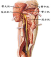 早孕检测的病理症状